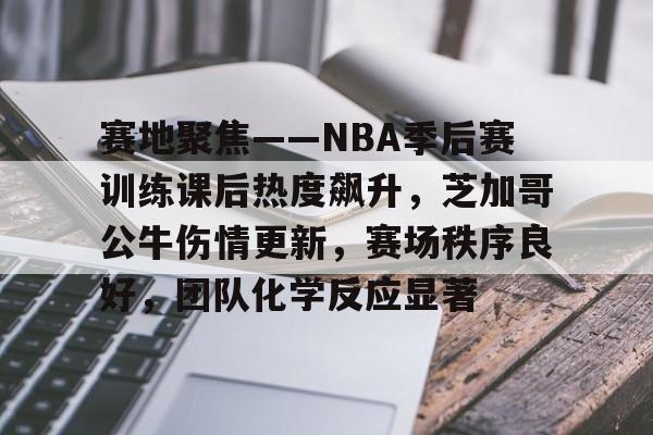 包含赛地聚焦——NBA季后赛训练课后热度飙升，芝加哥公牛伤情更新，赛场秩序良好，团队化学反应显著的词条-九游官网